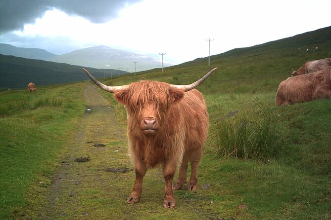 Edinburgh: Private Loch Ness Glencoe and The Highlands Tour