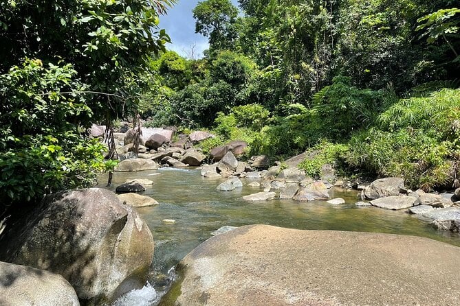 El Yunque Rainforest Hike and Luquillo Beach Tour
