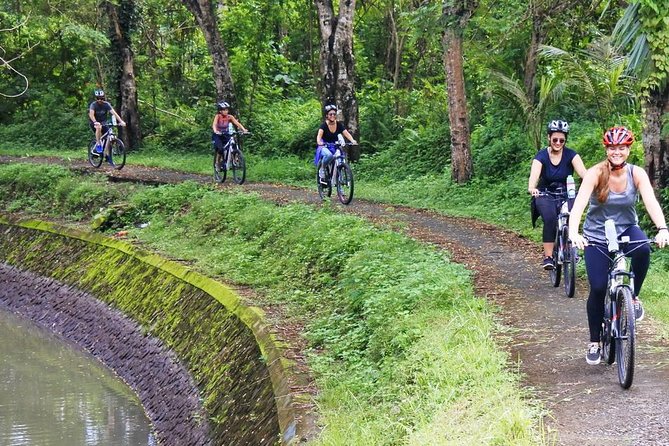 Electric Bicycle Tour in Quaint South Ubud