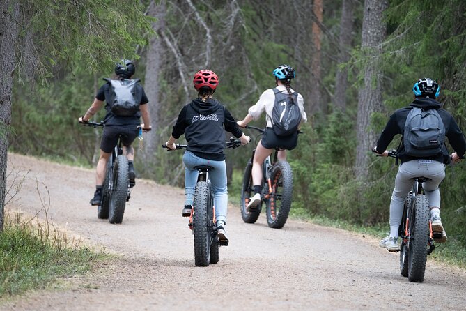 Electric Fatbike Trip to the Reindeer Farm - Overview of the Experience