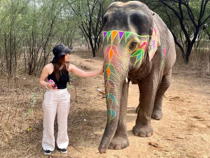 Elefun Best Elephant Sanctuary in Jaipur