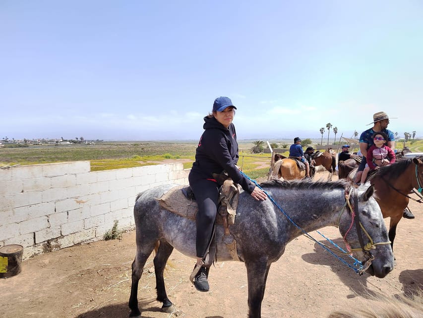 25 Best Tours In Ensenada