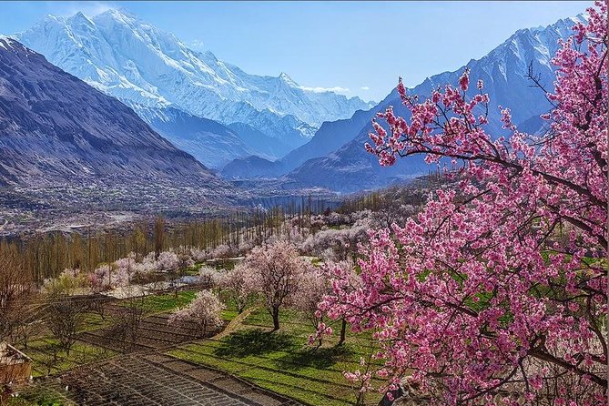 2 Best Safari Tours In Islamabad