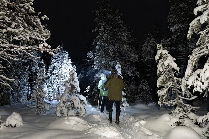 Evening Ski Trek to the Wilderness - Extra Small Group - Tour Overview