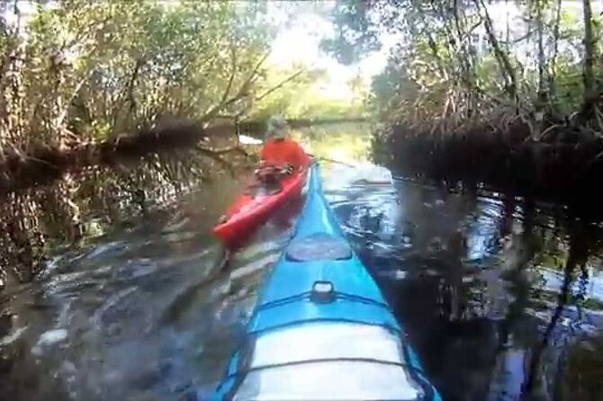 Everglades Kayak & Canoe Rentals