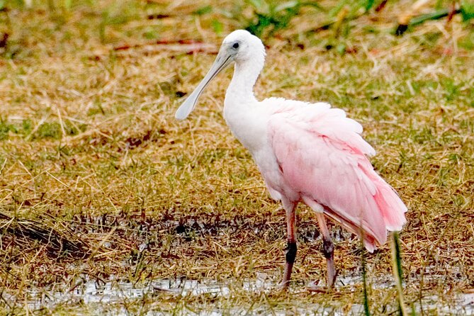 Everglades National Park Boat Tour