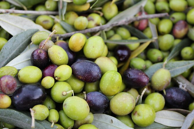 Evo Oil Experience With Oil Tasting and Lunch in the Nature