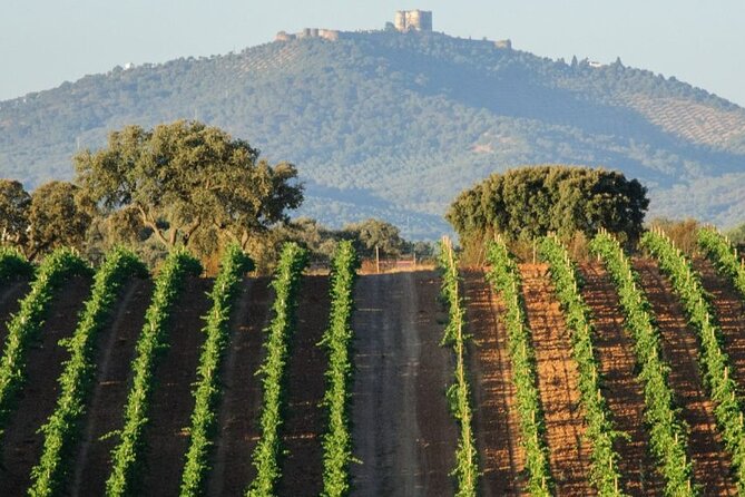 EVORA & MONSARAZ FULL-DAY PRIVATE TOUR With Winery, Cork & Gourmet Tavern