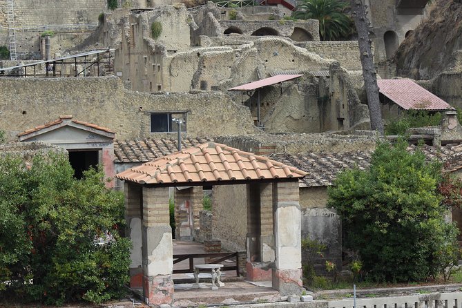 Excavations of Herculaneum. Tour Guide and Skip-The-Line Ticket - Tour Overview