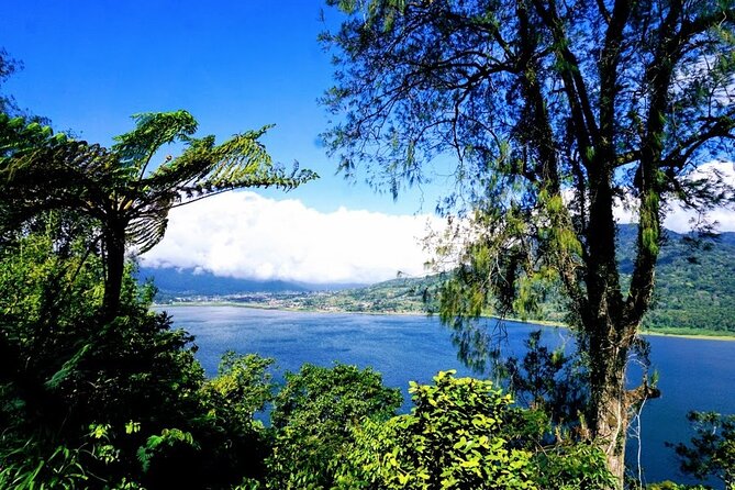 Exclusive Day Tour Waterfalls in Bali Review