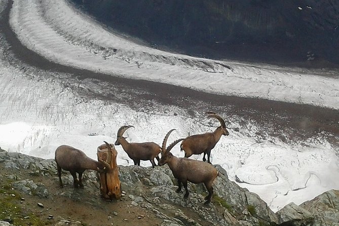 Exclusive Zermatt and Matterhorn: Small Group Tour From Bern - Tour Overview
