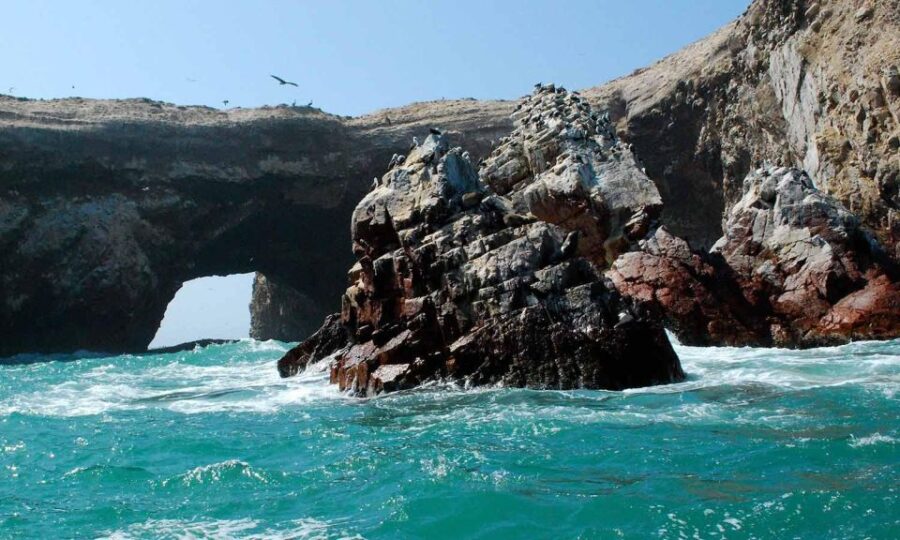 Excursion the Ballestas Islands