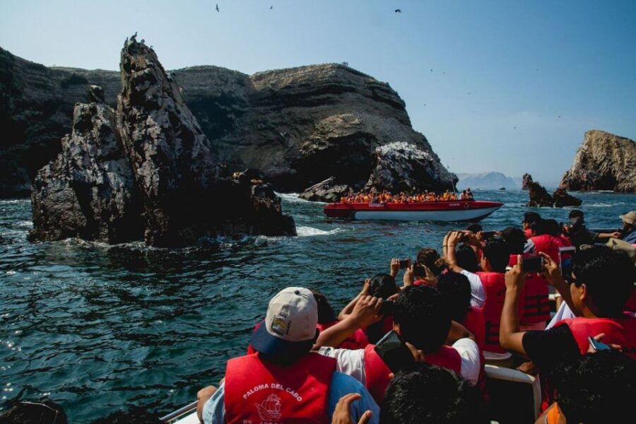 Excursion to Ballestas Islands and Paracas National Reserve - Excursion Overview and Pricing