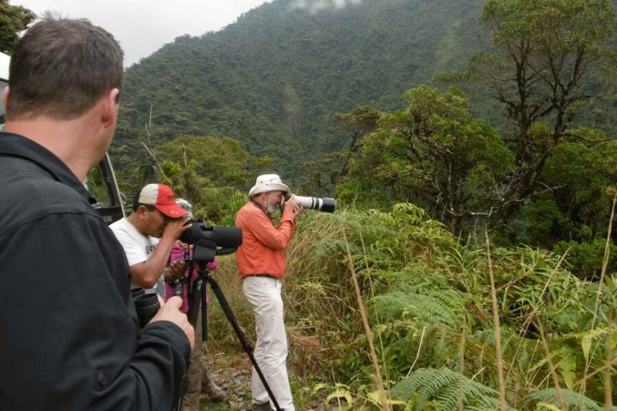 Excursion to the Manu Jungle 6 Days