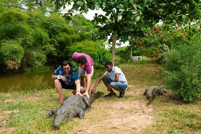 Experience Cape Coast Castle and Kakum National Park
