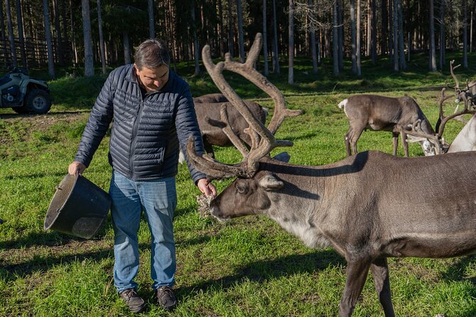Experience Reindeer Farm and Ranua Wildlife Park in Rovaniemi - Additional Information