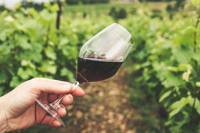Experience Slovenian Coast Line With Wine Tasting From Trieste