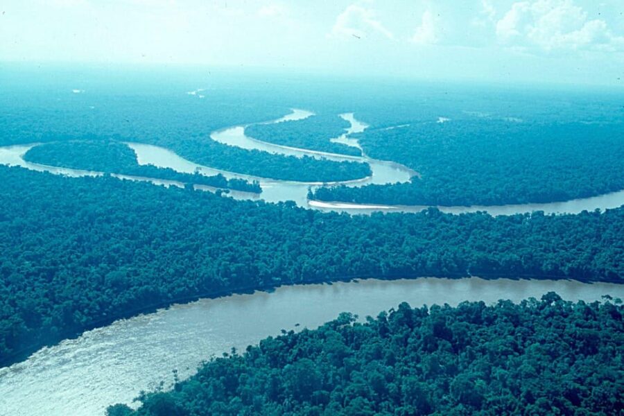 Explore Iquitos in Two Days: Night Tour+Monkeys in Two Days