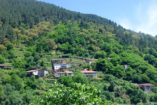 Explore Ribeira Sacra by Boat: Unique Excursion From Santiago