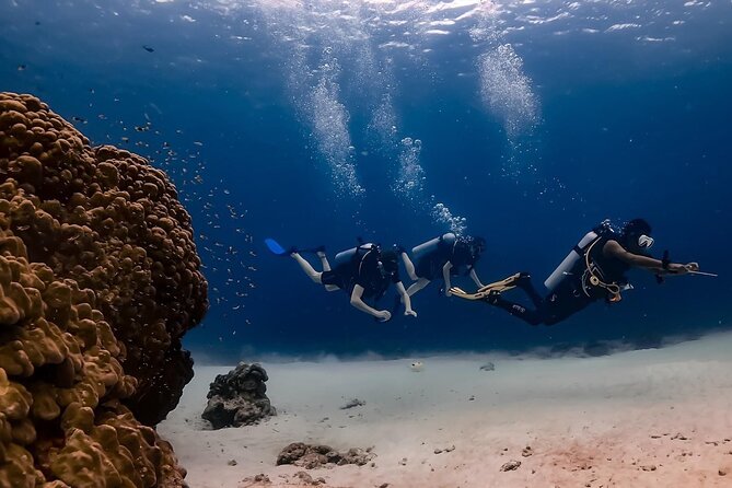 Explore Scuba Diving at Racha Yai Island From Phuket