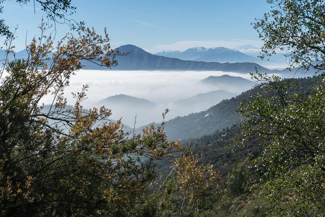 Explore the Coastal Mountains – Private Day Trip From Santiago