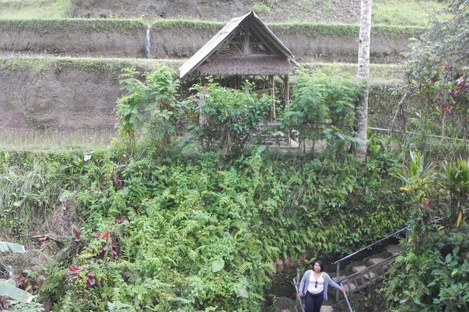 Explore Ubud
