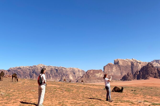 Explore Wadi Rum: Jeep Tour, Bed and Breakfast, and Dinner - Bedouin Hospitality and Accommodation