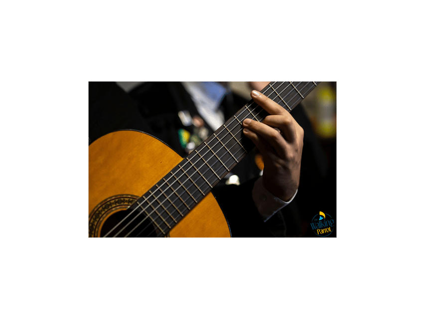 Fado Night: Guided Walking Tour, Dinner and Live Show