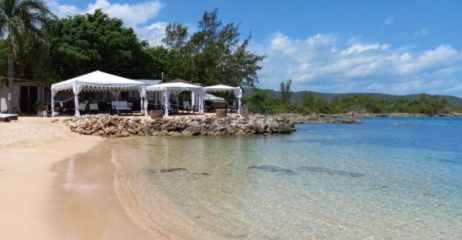 Falmouth: Bamboo Beach Club VIP Access + Lunch & Cocktails - Overview and Pricing