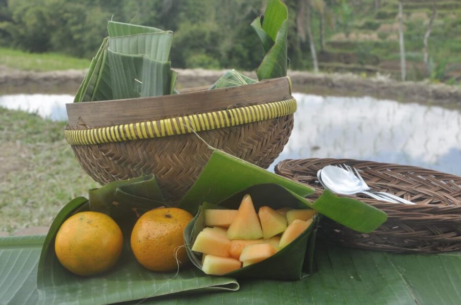 Farm to Table, Walking Tour and Farming Experiences