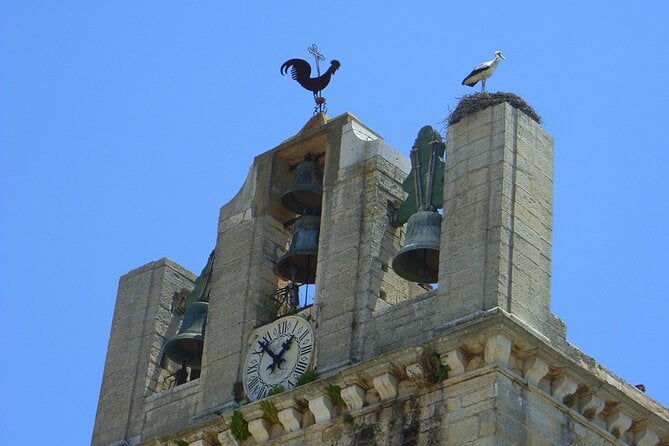 Faro Private Walking Tour With a Professional Guide