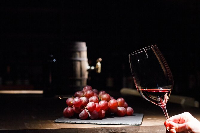 Feel Douro Tour - Tour Overview