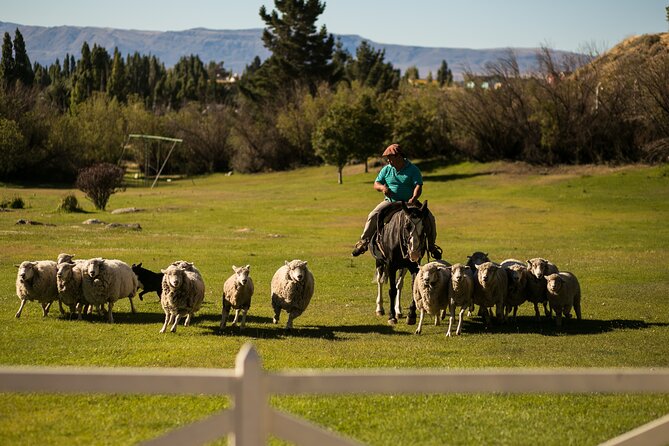 Field Afternoon Estancia 25 De Mayo