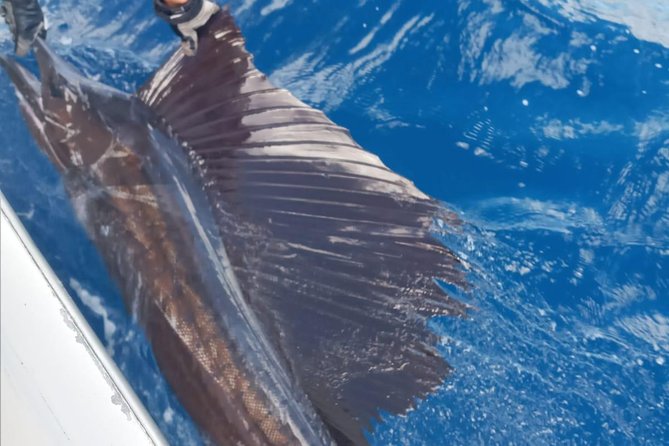 Fishing Charter 8 Hours