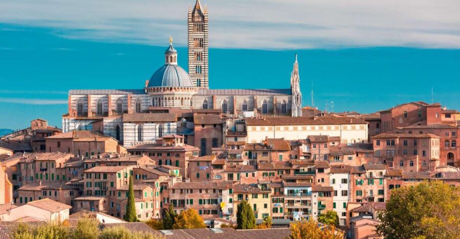 5 Best Lunch Experiences In Pisa