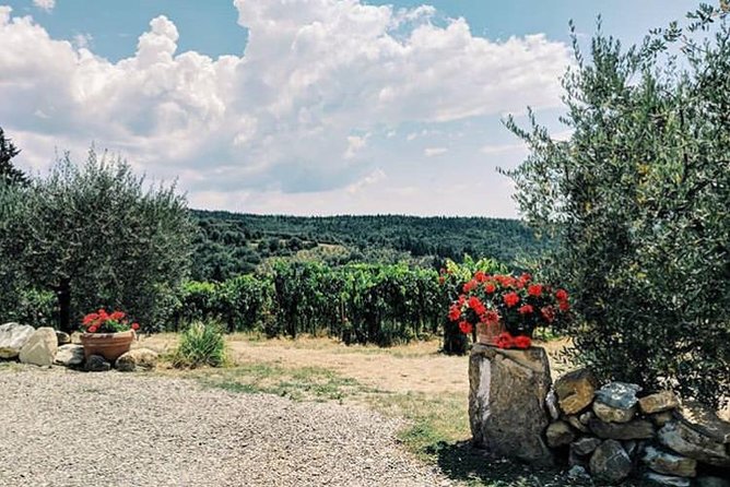 Florence, Tuscany Private Farm Tour Plus Food and Wine Tasting 2025 - Culinary Experiences and Winery Visit