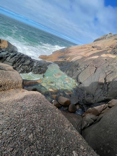 Florianópolis: Gravata Beach Trail With Picnic