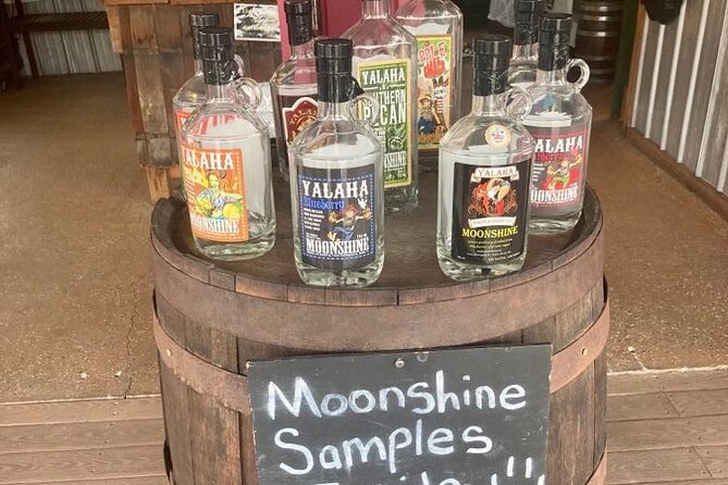 Florida Wildlife Drive Eco Tour With Lunch and Moonshine Tasting