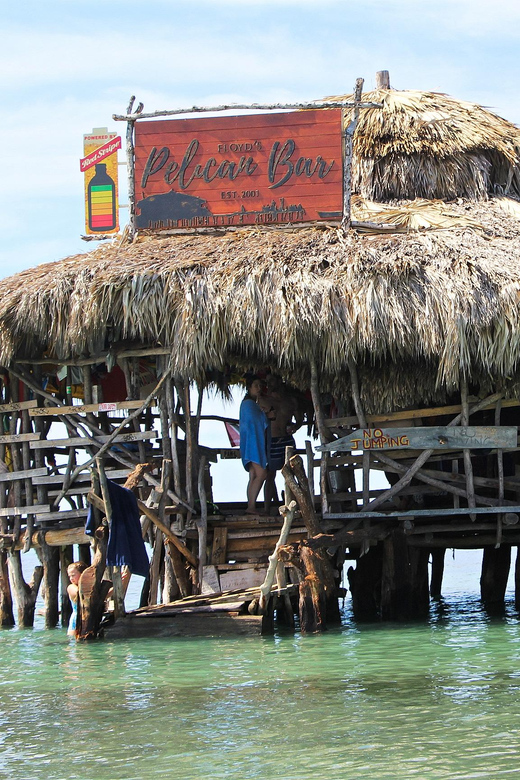 Floyd’s Pelican Bar, Black River Safari and Ys Falls Tour