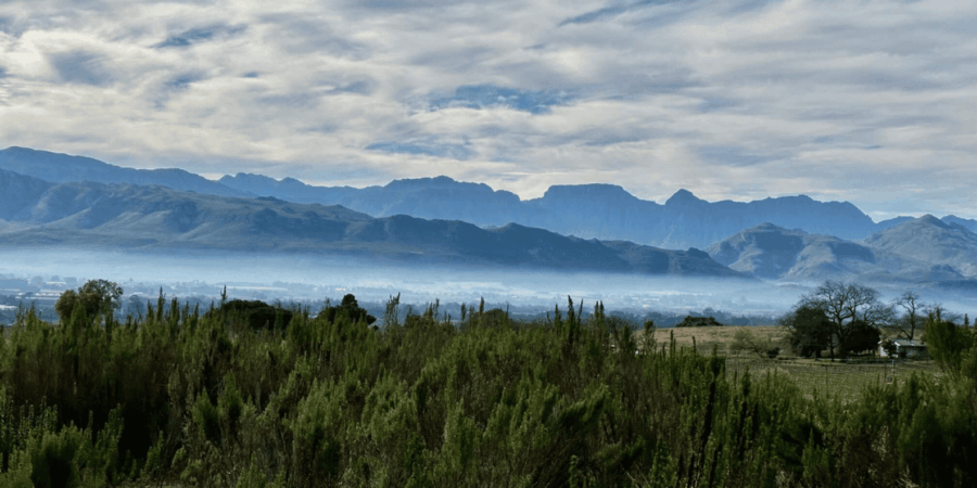Franschhoek: Full-Day Horseback Riding and Wine Tasting Tour - Inclusions and Requirements