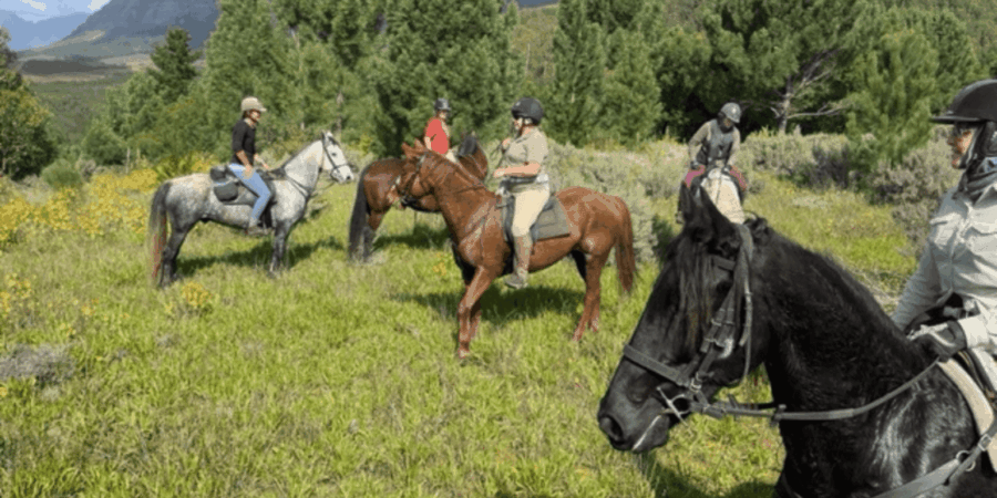 Franschhoek: Half Day Horse Trail and Wine Tasting - Activity Overview