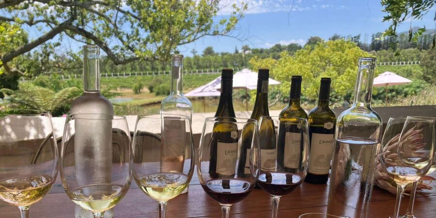 Franschhoek Wine Tram Hop On Hop Off Tour