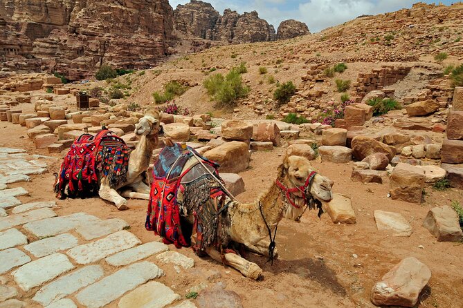 From Agadir or Port Trip to Small Sahara of Massa and Tiznit With Lunch