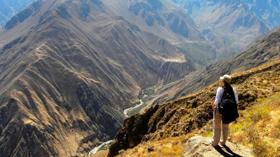 From Arequipa: Full Day Colca Canyon Tour