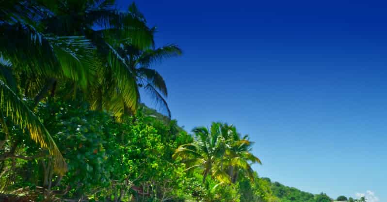 From Basseterre: Private Sightseeing Van Tour and Beach.