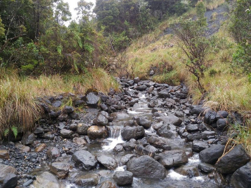 From Bogotá: Chingaza National Park Eco Tour