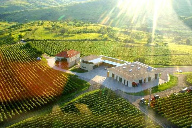 From Bucharest: Private Wine Tasting Tour in Dealu Mare Wineland - Dealu Mare Wine Country