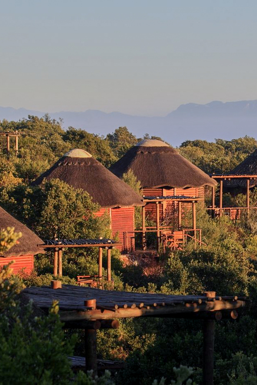 From Cape Town: 3-Day Garden Route Safari and Coastal Tour