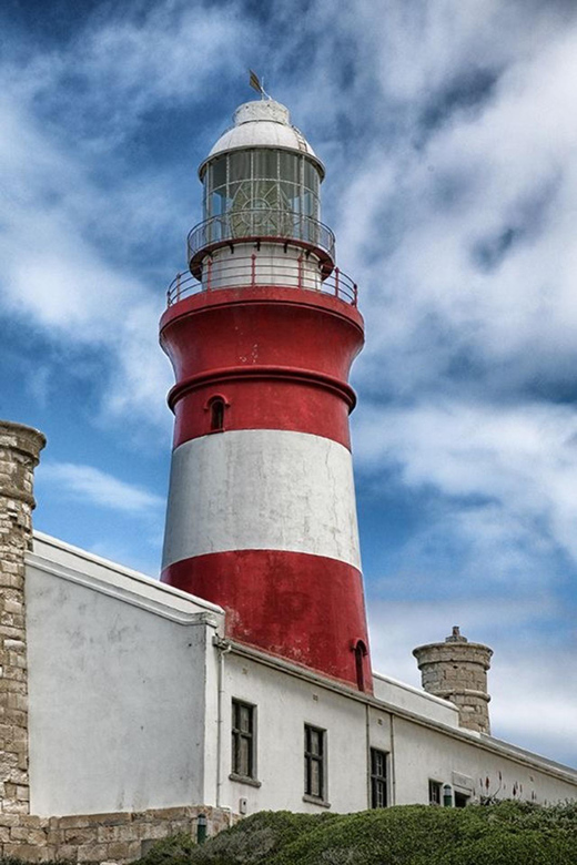 From Cape Town: Full-Day Cape Agulhas Private Tour