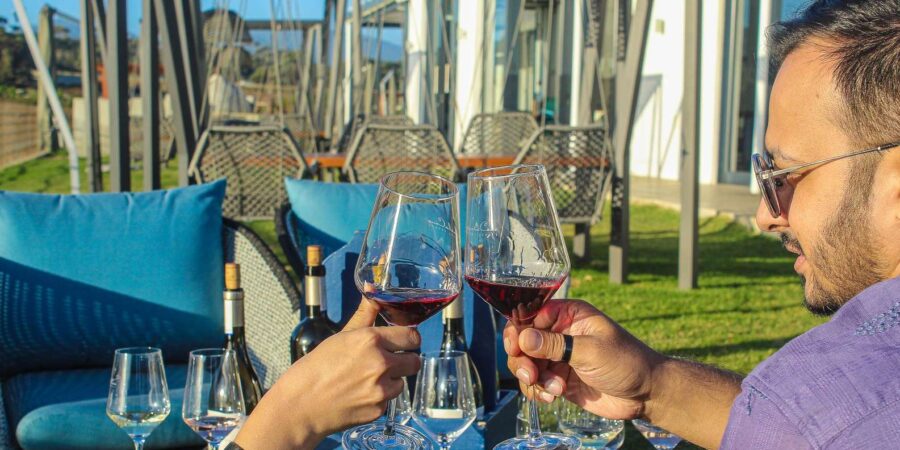From Cape Town: Wine Tasting Tour, Stellenbosch & Franschoek